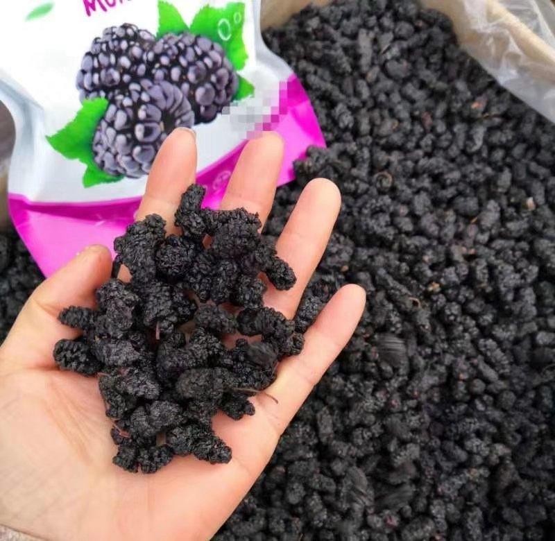 桑椹干无沙免洗黑桑椹18.8一斤包邮正宗产地攀枝花桑椹