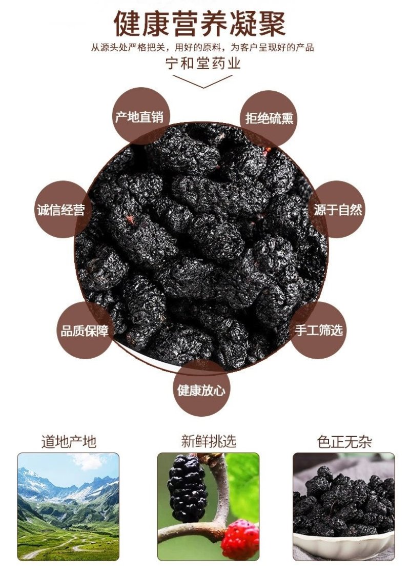 桑椹干无沙免洗黑桑椹18.8一斤包邮正宗产地攀枝花桑椹