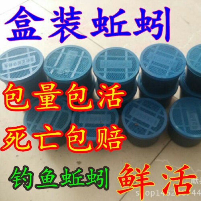 基地直供盒装蚯蚓，袋装，常年供应商，60盒起批