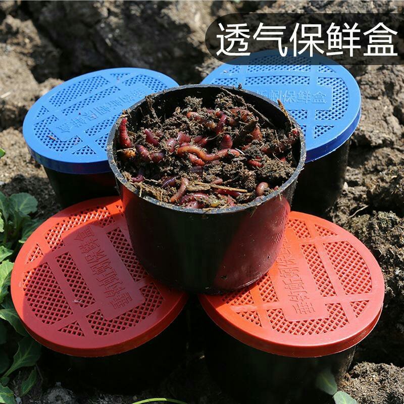 基地直供盒装蚯蚓，袋装，常年供应商，60盒起批