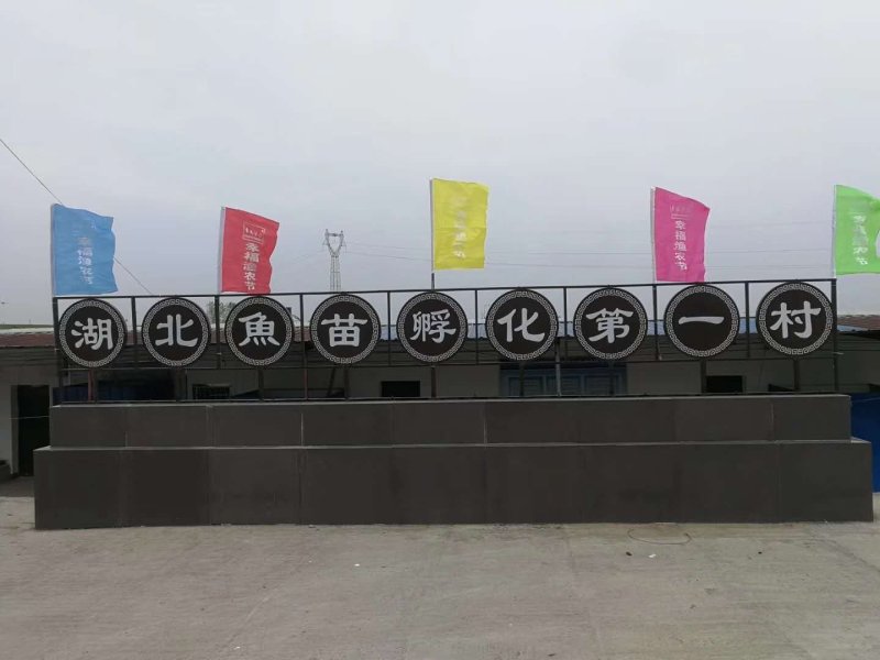 鳡鱼苗，自产自销，保质保量，各种规格都有出售。