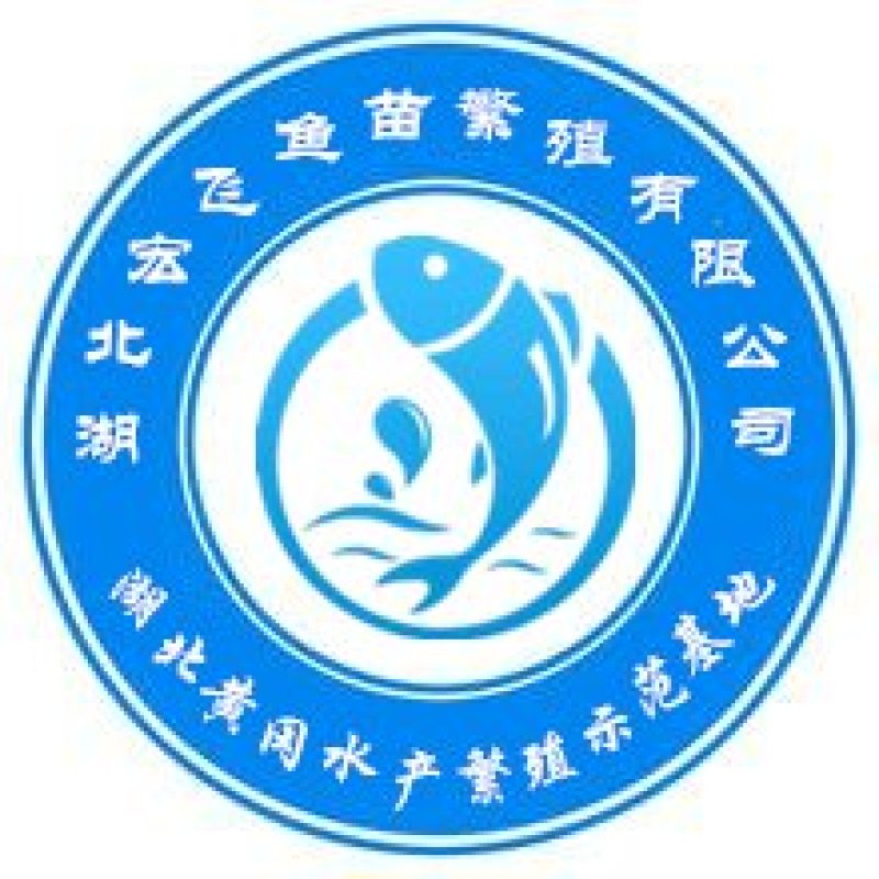 桂鱼苗质量保证翘嘴大花桂鳜鱼苗产地直销