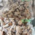 熟食小龙虾加热即食麻辣和蒜蓉口味15斤起发不包邮