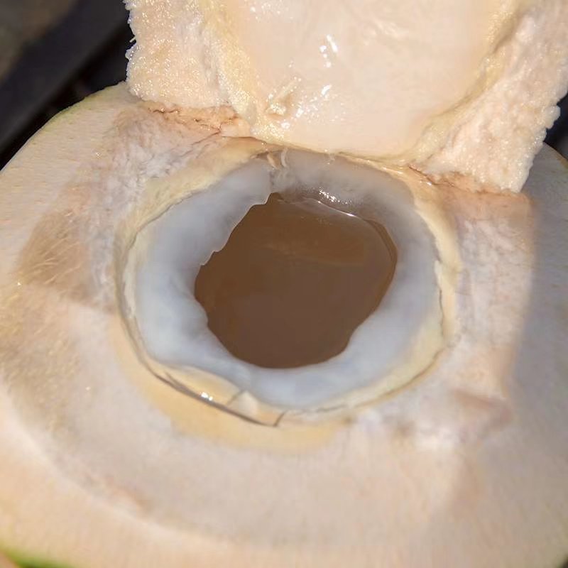 海南椰青椰子品质保证，一分钱一分货不包含运费