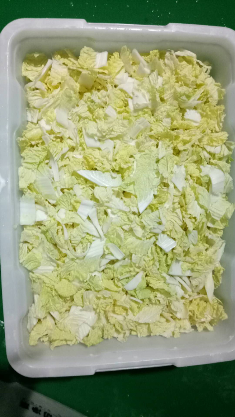 优质甘蓝块，优质甘蓝丝，优质甘蓝短，净菜生产