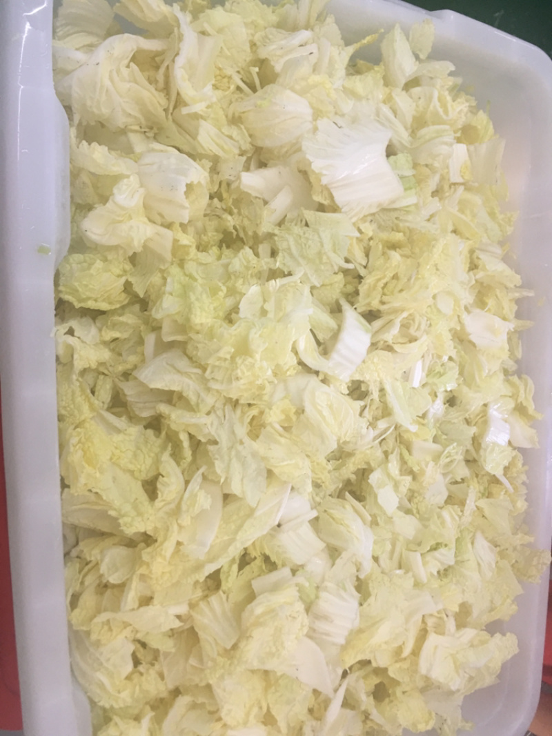 优质甘蓝块，优质甘蓝丝，优质甘蓝短，净菜生产