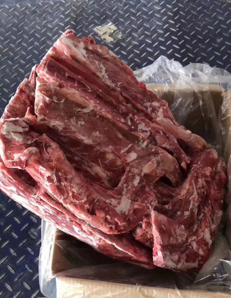 羊蝎子，多肉内蒙羊蝎子，