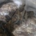毛肚，碎毛肚，碎牛白叶，适合自助火锅