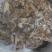 毛肚，碎毛肚，碎牛白叶，适合自助火锅