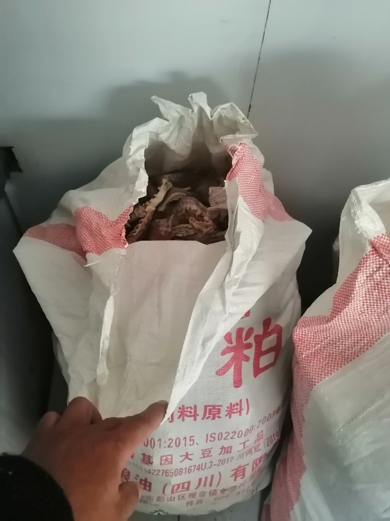 笋干