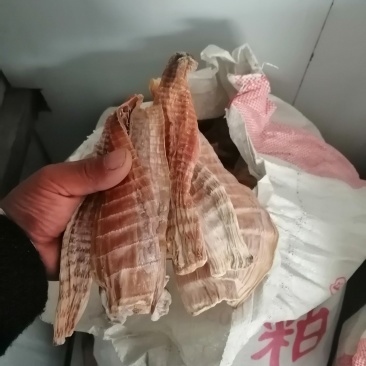 笋干