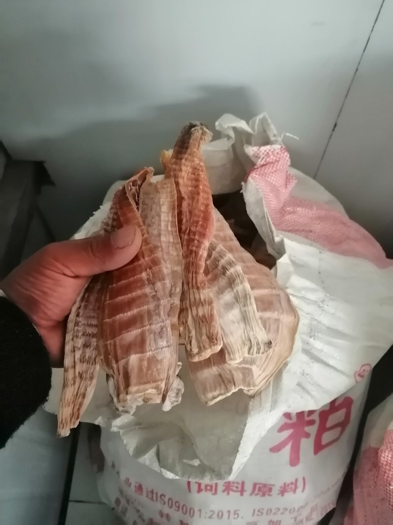 笋干