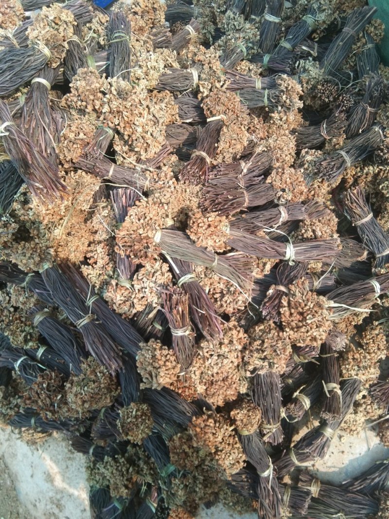 云南丘北蕨菜干甄选优质原料纯手工制作自然晾晒可追溯