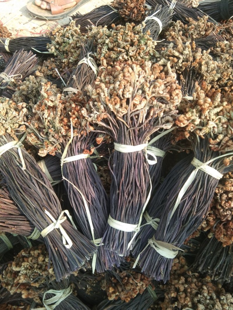 云南丘北蕨菜干甄选优质原料纯手工制作自然晾晒可追溯