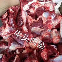 纯干牛肉块，每天鲜货，大量批发