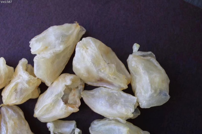 广州人45头石鳘胶花胶鱼胶厚肉腥味小一件代发批发