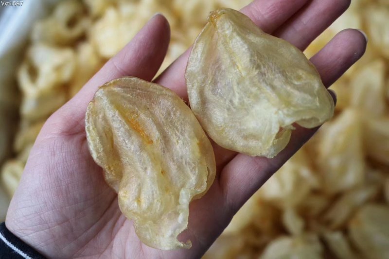 广州人45头石鳘胶花胶鱼胶厚肉腥味小一件代发批发