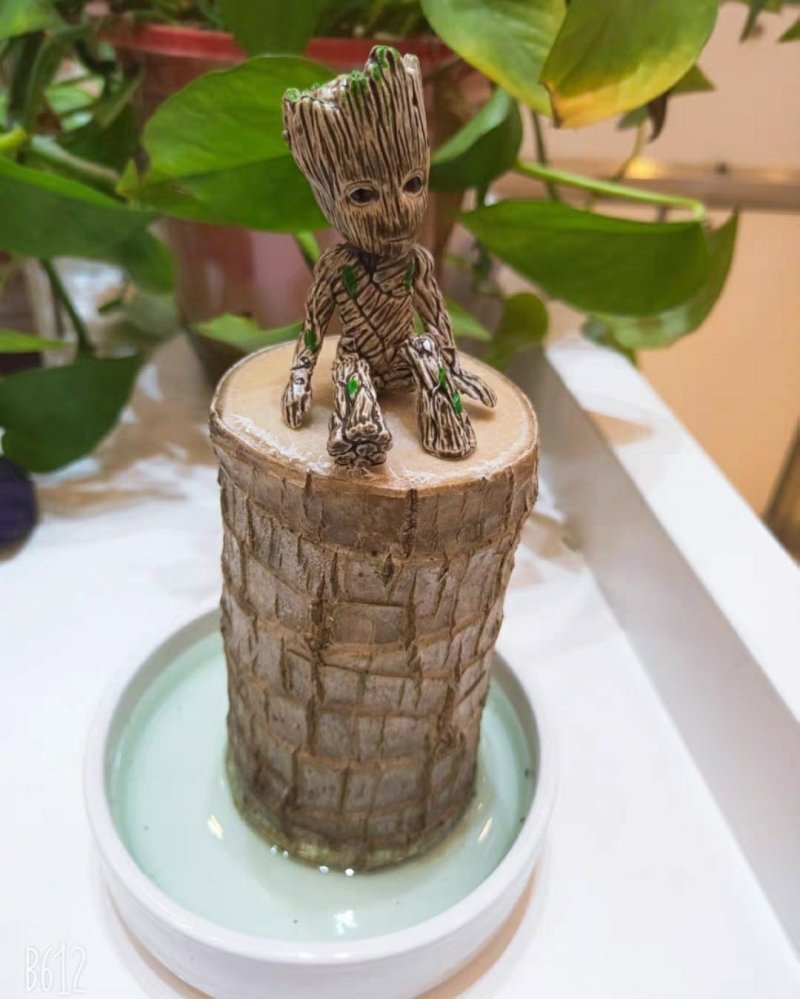 巴西木幸运木带格鲁特水培植物卧室室内办公桌桌面绿植大盆栽