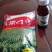 高产抗病抗倒谷种,可苗后除草