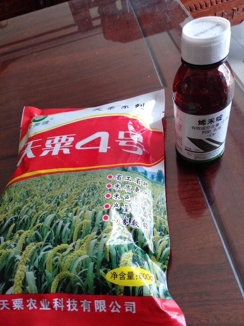 高产抗病抗倒谷种，可苗后除草