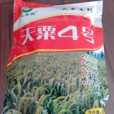 高产抗病抗倒谷种,可苗后除草