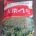 高产抗病抗倒谷种,可苗后除草