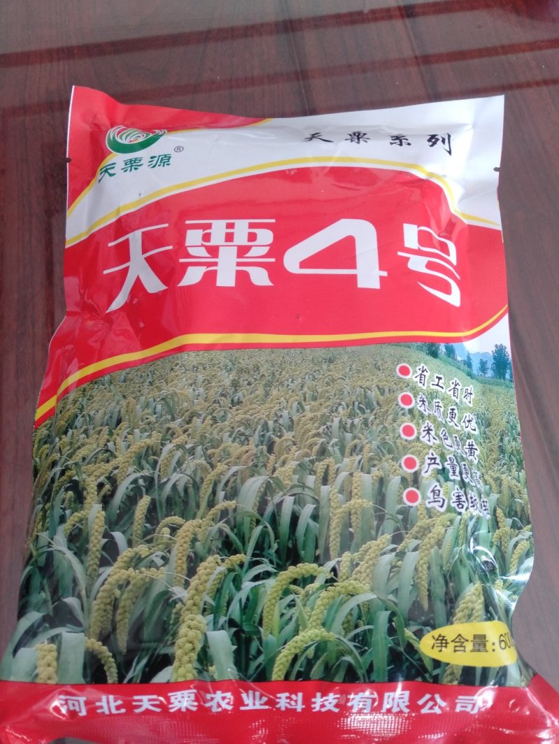 高产抗病抗倒谷种，可苗后除草