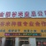 高产抗病抗倒谷种,可苗后除草
