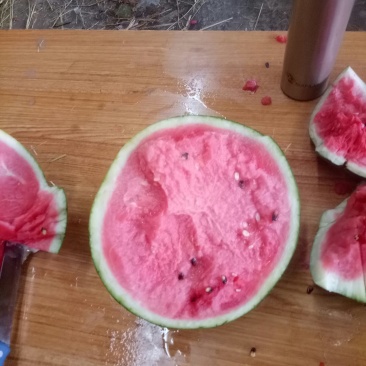 各种各样水果大量现货