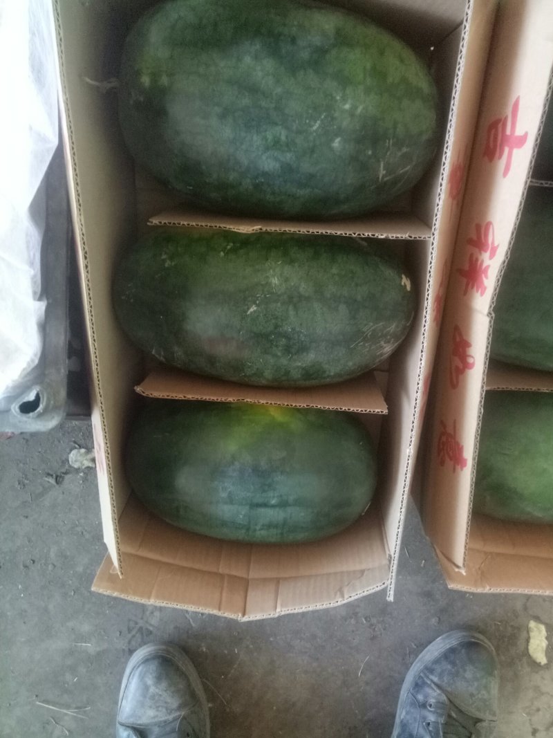 各种各样水果大量现货
