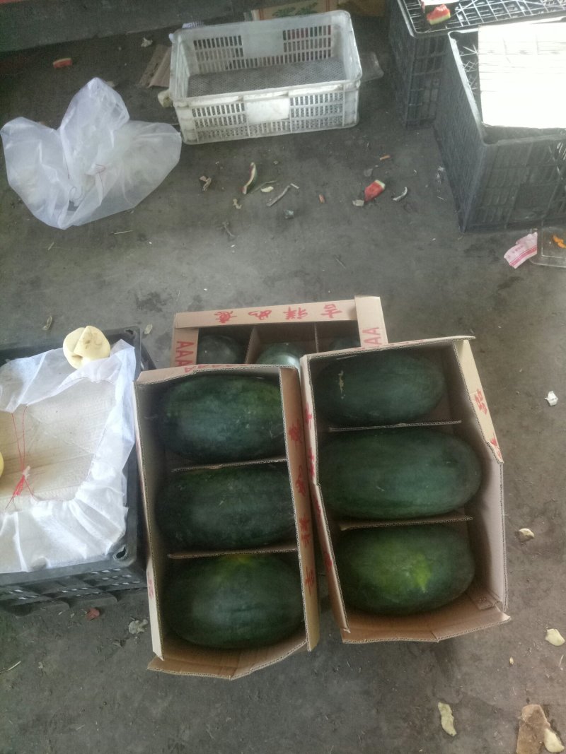 各种各样水果大量现货