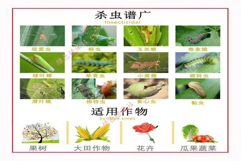 3%甲维盐甲氨基阿维菌素苯甲酸盐小菜蛾菜青虫杀虫剂