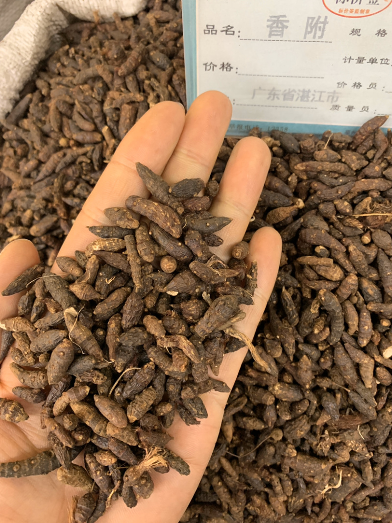 香附香附片无硫磺熏蒸一公斤起批