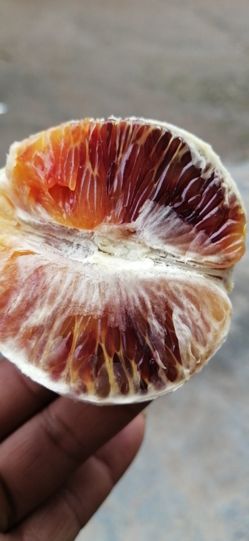 麻阳玫瑰香血橙，无籽化渣，香甜郁浓，水份充足，回味无穷