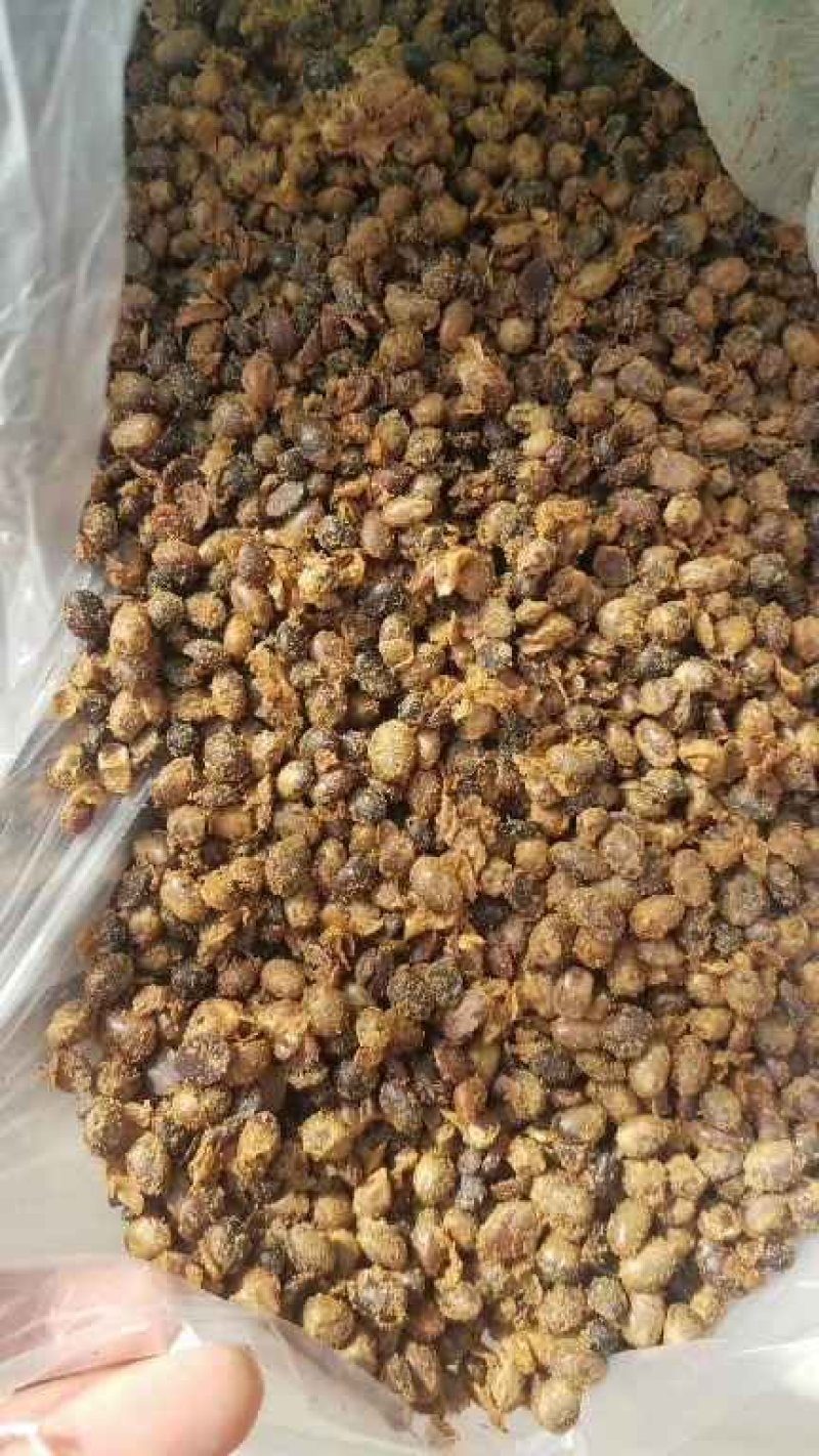 发酵大豆，你的不二之选。