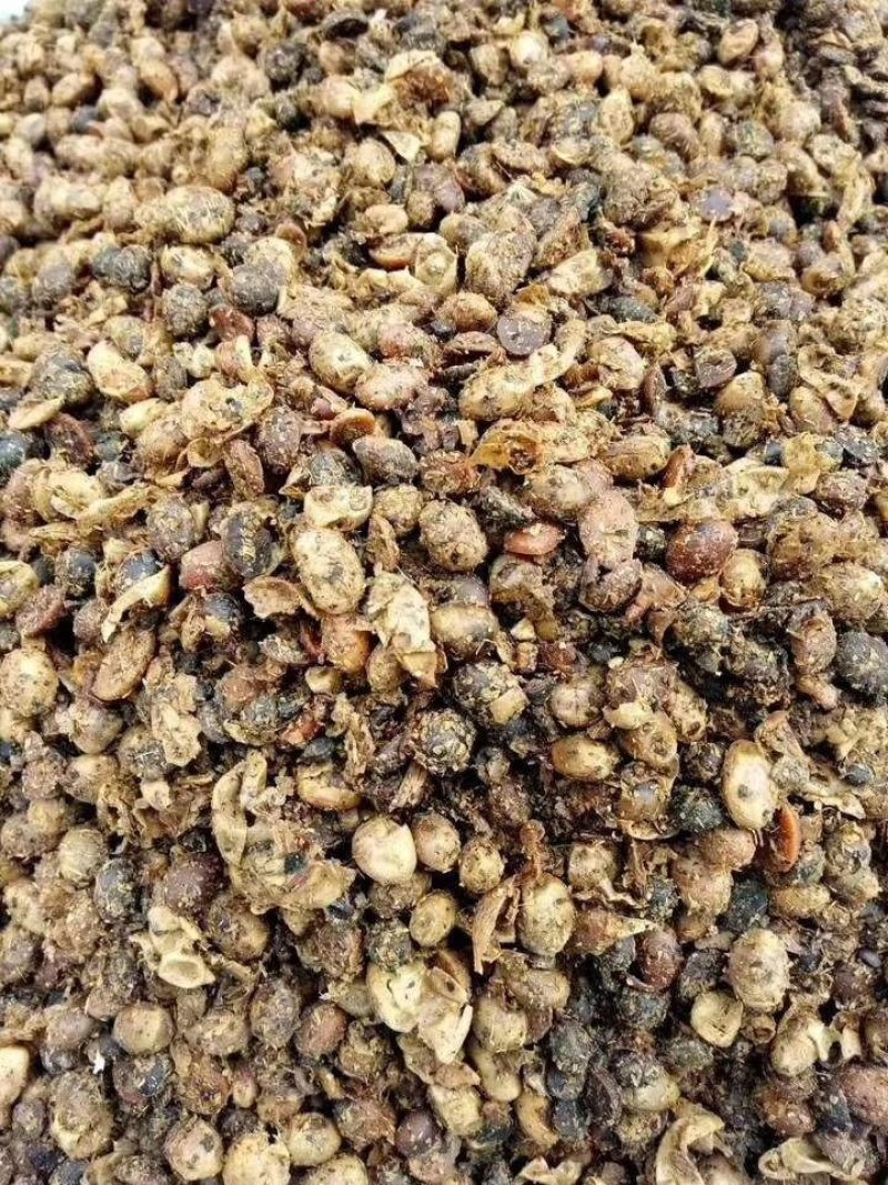 发酵大豆，你的不二之选。