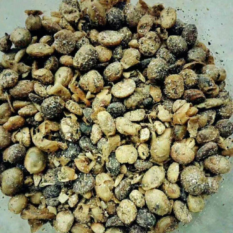 发酵大豆，你的不二之选。