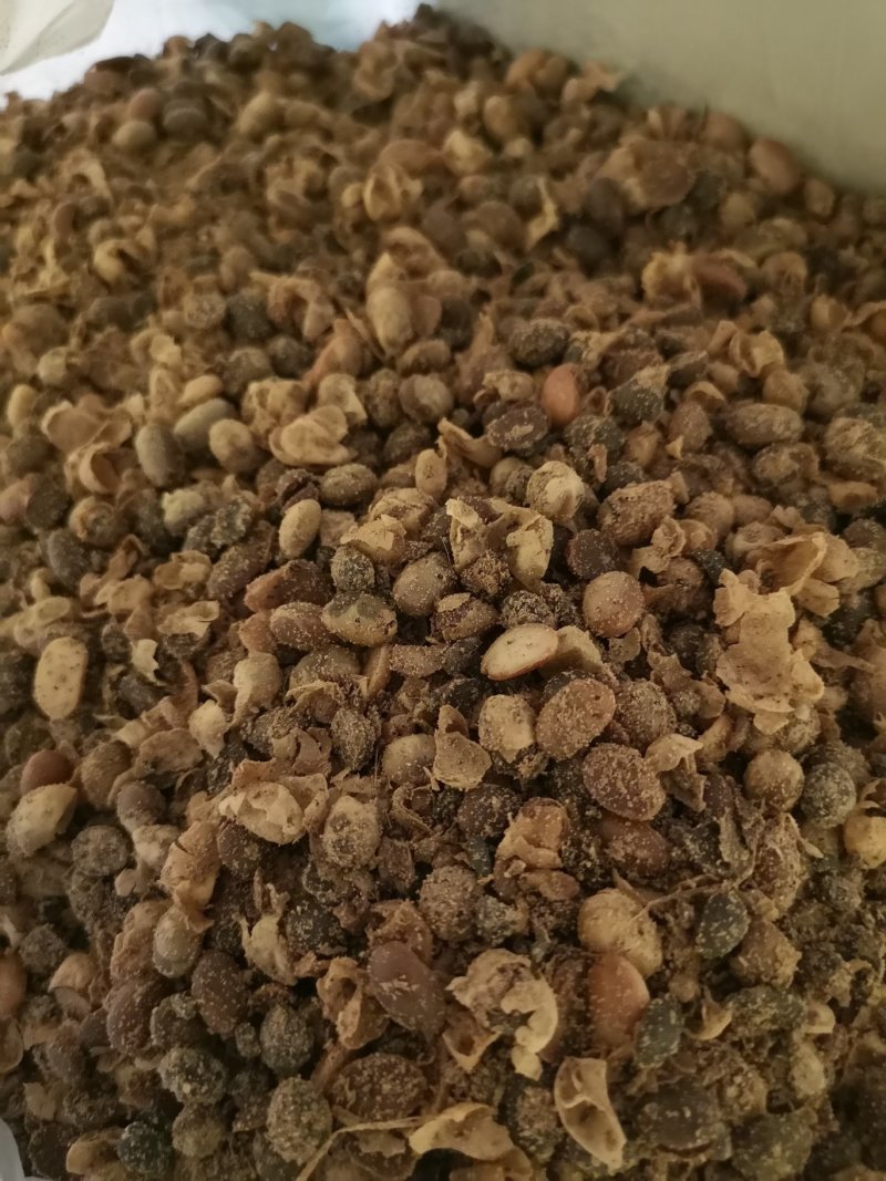 发酵大豆，你的不二之选。