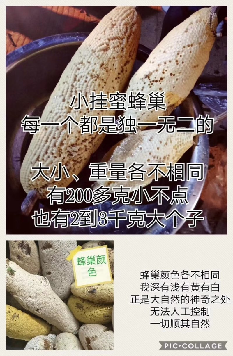 云南野生小挂蜜