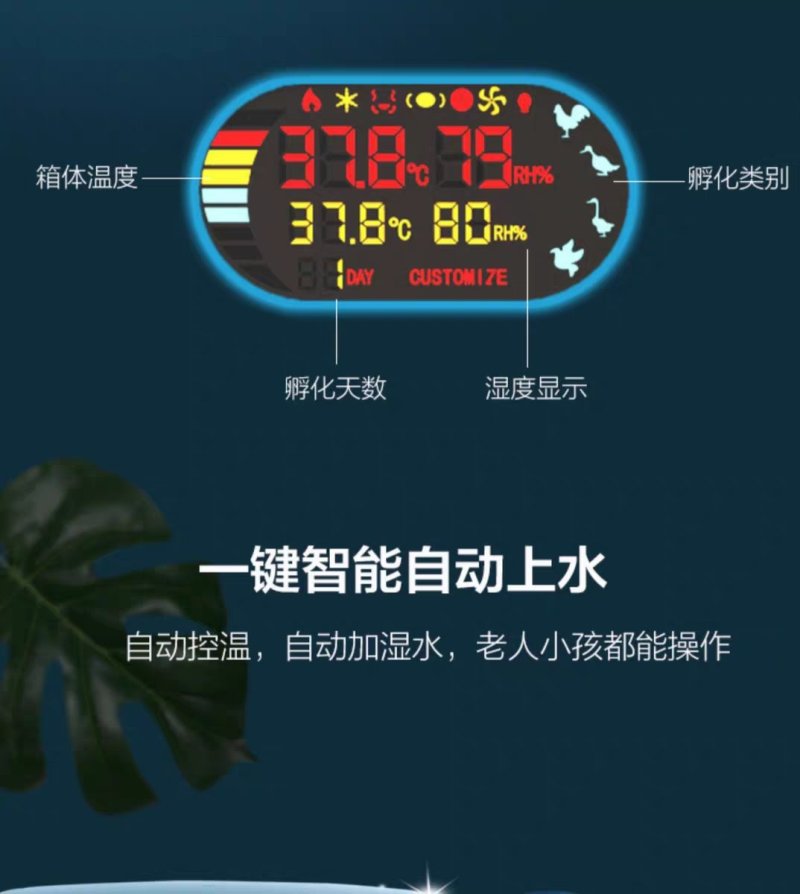 全自动孵化器智能小型家用型孵化机小鸡鸭鹅鸽子孵化箱