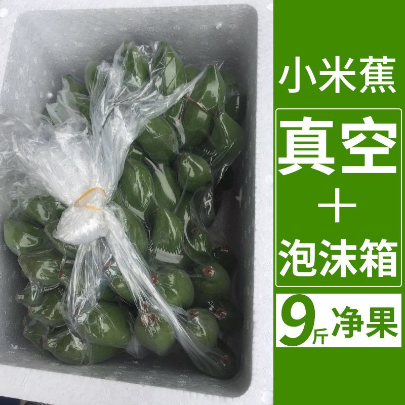 广西小米蕉香蕉新鲜水果批发一件代发5/8/9斤包邮