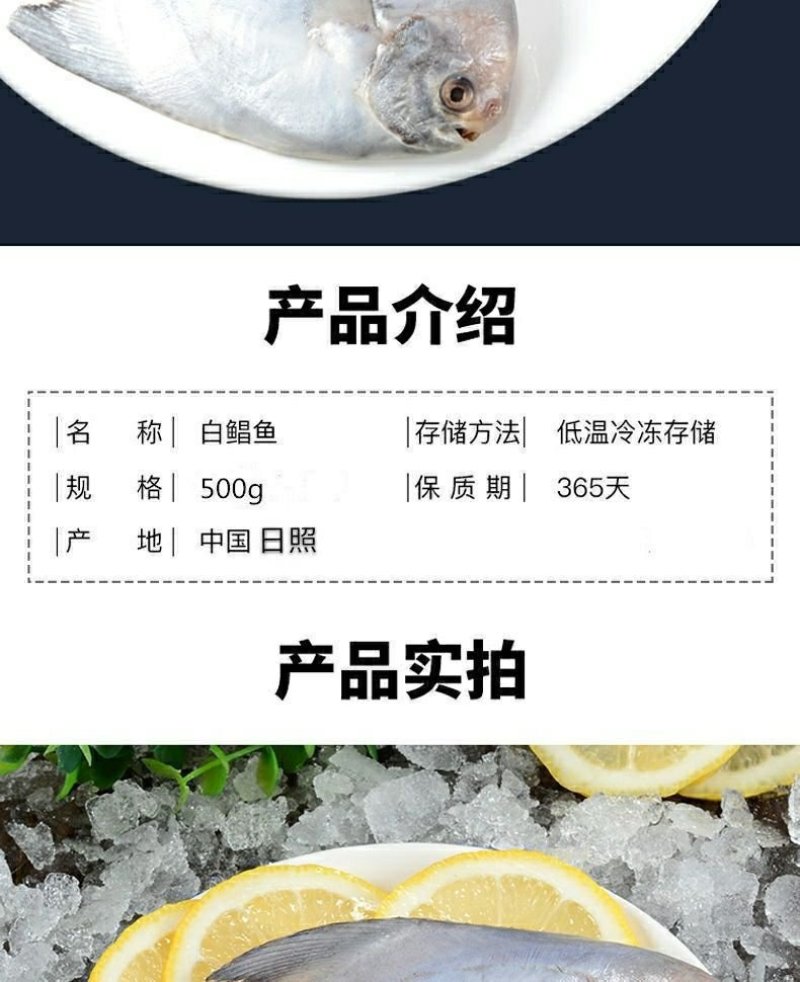 冷冻鲳鱼5斤起顺丰包邮到家山东海鲜特产新鲜鲳鱼厂家批发