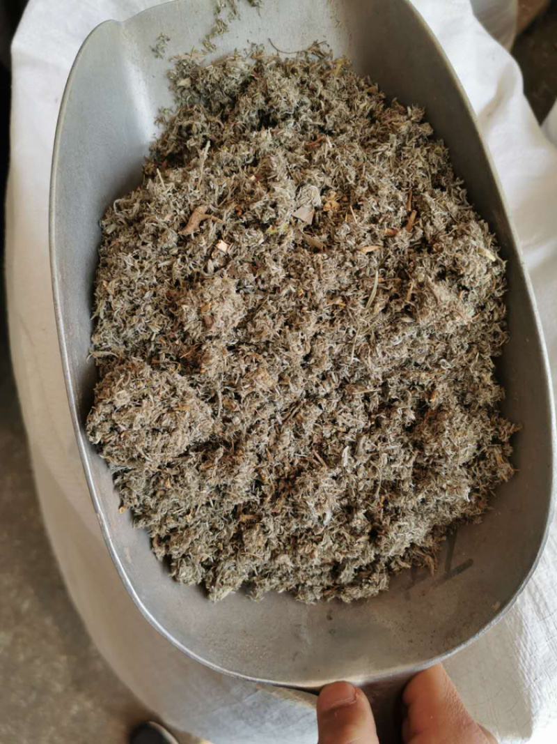 中草药茵陈正品无硫一公斤起卖