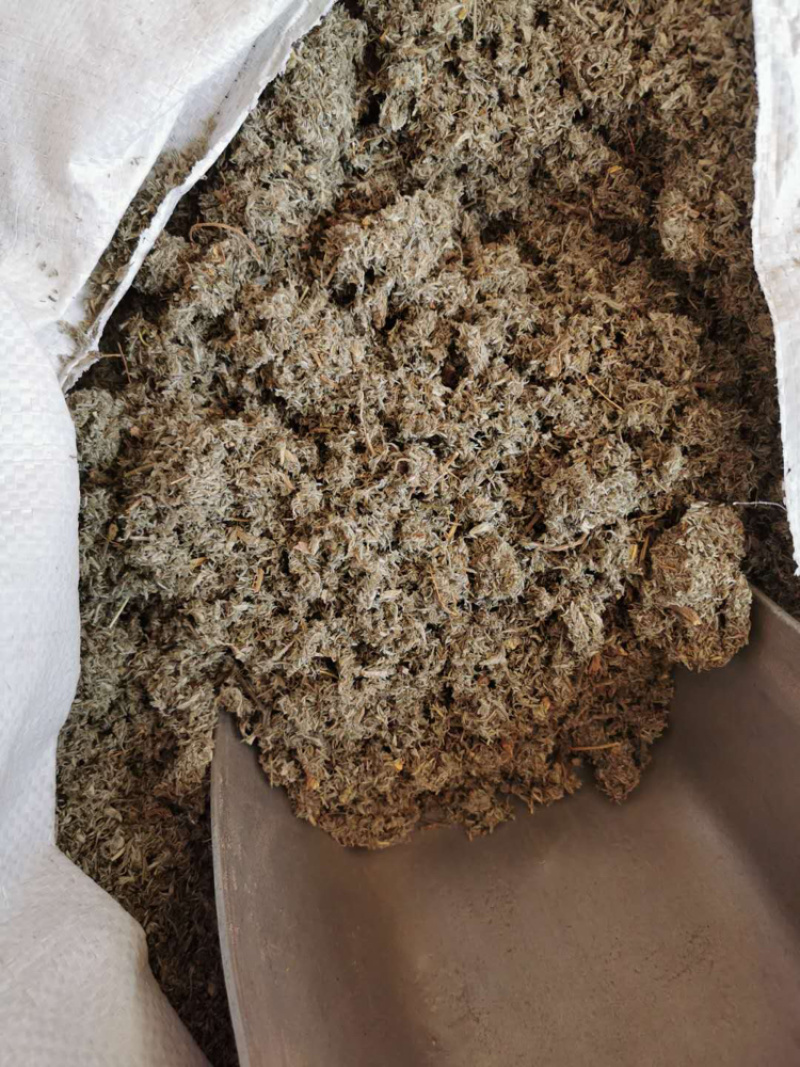 中草药茵陈正品无硫一公斤起卖