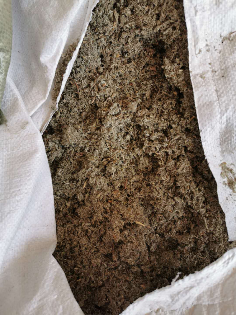 中草药茵陈正品无硫一公斤起卖
