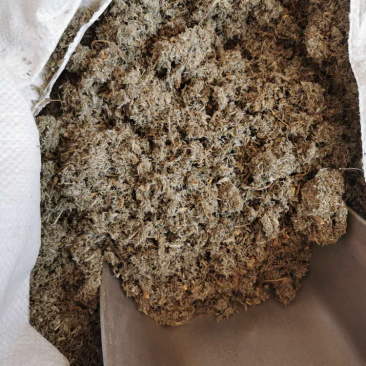 中草药茵陈正品无硫一公斤起卖
