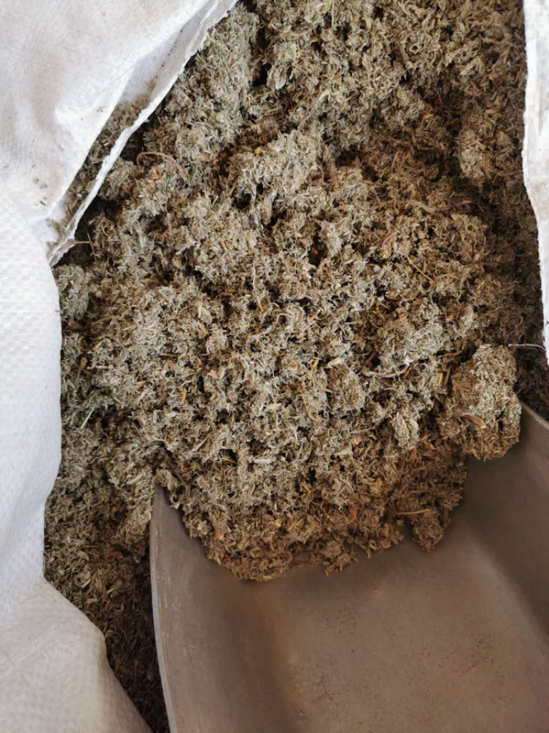中草药茵陈正品无硫一公斤起卖