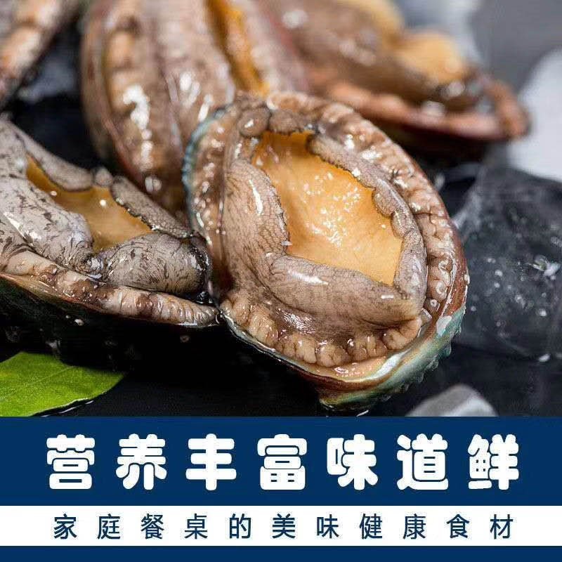 鲜活鲍鱼