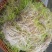 手工麦芽糖材火熬制古早味，麦芽香味浓郁甜