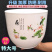 花盆荷花盆塑料花盆睡莲盆仿陶瓷花盆